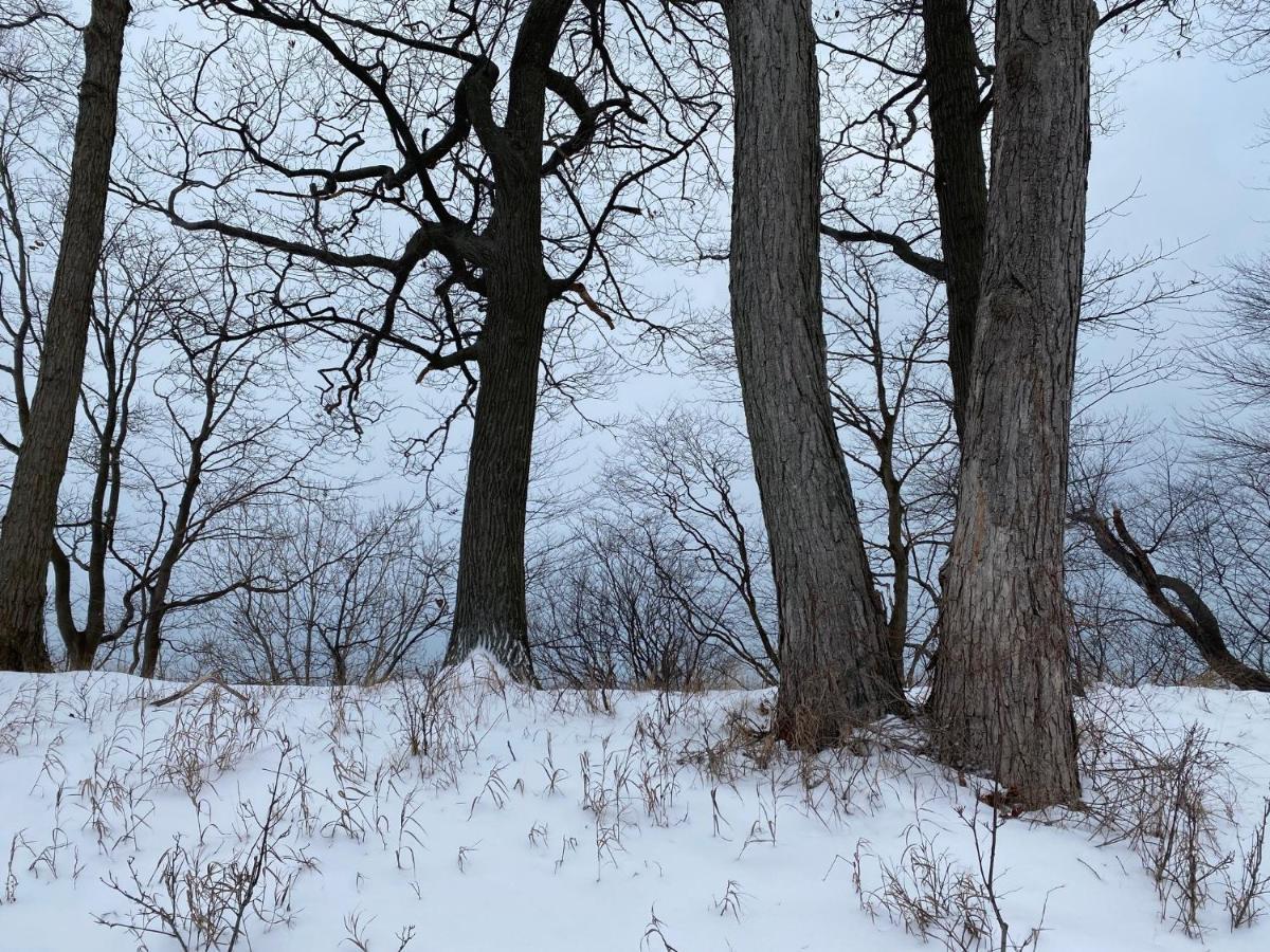 The Sanctuary At Deer Dune , Saugatuck Luaran gambar
